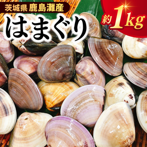 いばらき満喫Bセット 「鹿島灘産 はまぐり」＋「【茨城県共通返礼品】常陸の輝き (豚肉) 味噌漬け」【蛤 ハマグリ 三元豚 豚 ぶた ブタ セット バーベキュー BBQ 贈答用 ギフト 鹿嶋市 茨城】