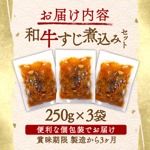 和牛すじ煮込み 3袋セット 750g (250g×3袋) 和牛 すじ煮込み すじ 冷凍 小分け 肉 牛 牛肉 ごはんのお供 個包装 ふるさと納税 おかず おつまみ 晩酌 煮物 木津川市 京都
