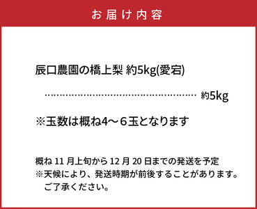 1303R_【先行予約】令和7年発送 /辰口農園の橋上梨約5kg(品種:愛宕)