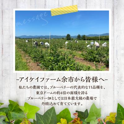 ふるさと納税 余市町 【7月中旬頃より発送】青果ブルーベリーおまかせ1種1kg(500g×2パック)_Y111-0010 |  | 02
