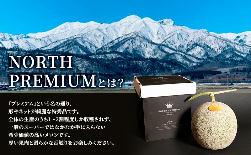 【2026年6月下旬～発送】富良野メロン『NORTH PREMIUM』1玉 約2kg以上 北海道 ふらの (NORTH FUN) メロン フルーツ 果物 新鮮 甘い 贈り物 ギフト 道産 ジューシー 