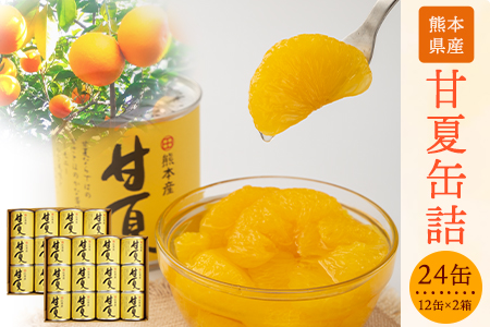 甘夏缶詰24缶入り (12缶×2箱)《60日以内に出荷予定(土日祝除く)》熊本県 葦北郡 津奈木町 あしきた農業協同組合 JAあしきた 柑橘 甘夏 あまなつ フルーツ 果物 缶詰 送料無料