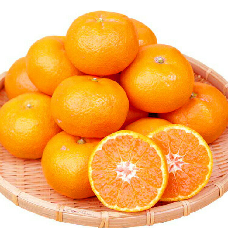 【ふるさと納税】赤秀品　紀州有田産濃厚完熟温州みかん　3kg（MサイズまたはSサイズ）【2026年11月下旬以降発送】【先行予約】【UT12】 | 和歌山 由良 和歌山県由良町 ふるさと 納税 取り寄せ お取り寄せ フルーツ お取り寄せフルーツ ご当地 果物 みかん ミカン