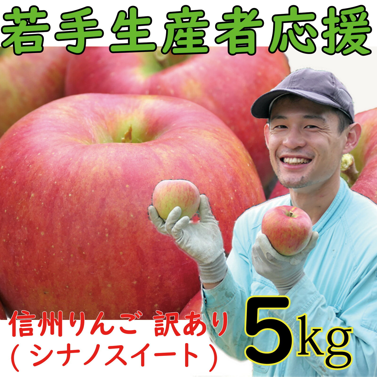 【ふるさと納税】 訳あり りんご 5kg 【若手生産者応援】 シナノスイート 山崎健司 果物 フルーツ 先行 予約 信州 麻績村 不揃い 規格外 家庭用 事業者支援