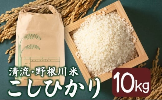 MZ001【8月中旬より発送開始】令和7年産 野根川米10kg こしひかり  米 新米 国産 コメ