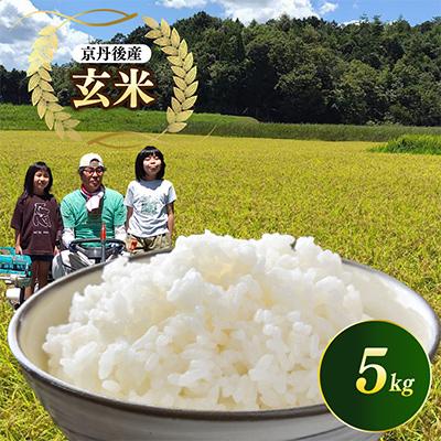 ふるさと納税 京丹後市 【令和8年産 先行予約】京都 丹後産コシヒカリ(玄米5kg)農家直送つやつやもっちり、京の米