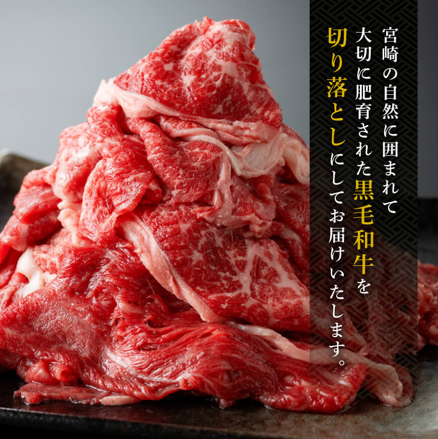 宮崎県産 黒毛和牛 切り落とし 600g【 肉 牛肉 肉 宮崎牛 炒め物 2パック 日本ハム 】