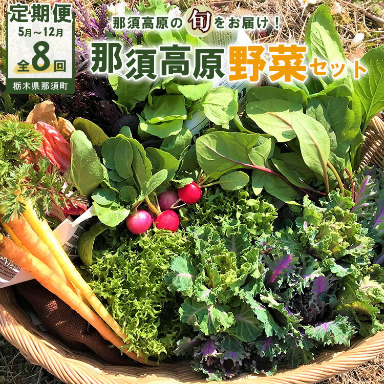 【ふるさと納税】【8か月定期便】那須ブランド 那須高原野菜セット（月1回／5月～12月／全8回）｜ 野菜 お野菜 新鮮 詰め合わせ やさい みずみずしい 美味しい 自然 栃木県 那須町〔P-65〕※北海道・沖縄・離島への配送不可 ※2026年5月上旬～12月下旬頃に順次発送予定