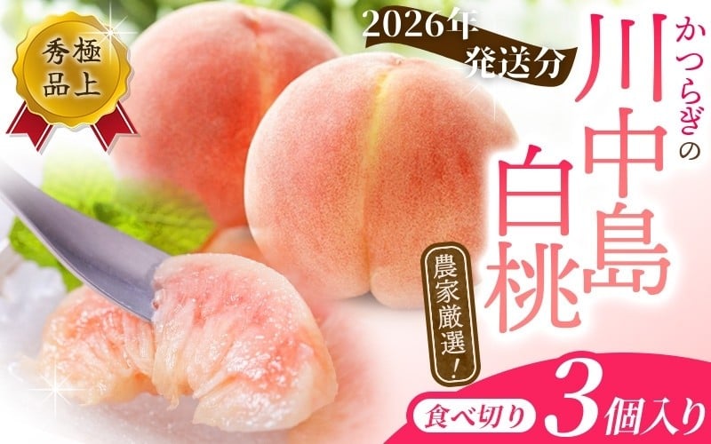
            【予約受付】こだわり農家厳選 川中島白桃 和歌山産の桃 <大玉特秀品> 嬉しい食べきり容量 3玉 【2026年7月末頃～2026年8月末頃に順次発送予定】（お届け日指定不可）/ 桃 もも 川中島 白桃 フルーツ 果物 くだもの 【kgr012】
          