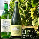 【ふるさと納税】白ワイン ミュラートゥルガウ・ナイヤガラスパークリング フルボトルセット 2本 飲み比べ セット お酒 ワイン 松原農園 蘭越町 送料無料