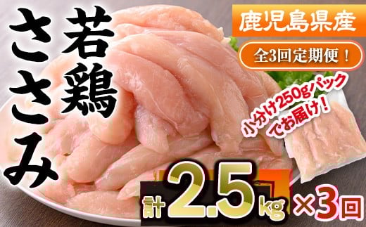 
            ＜定期便・全3回＞鹿児島県産若鶏ささみ(計2.5kg×3回) 若鶏 ささみ 冷凍【株式会社羽根】T50
          