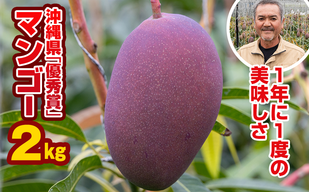 【2025年発送】芳醇な香り　とろける食感　沖縄県「優秀賞」マンゴー2kg