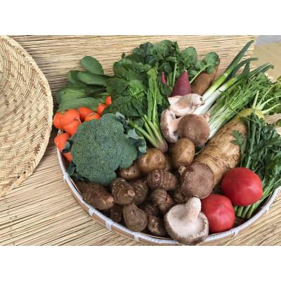 ふるさと納税 潮来市 【発送月固定定期便】『身体が喜ぶ野菜』季節の詰め合わせ(おまかせ10〜12品)全10回 |  | 01