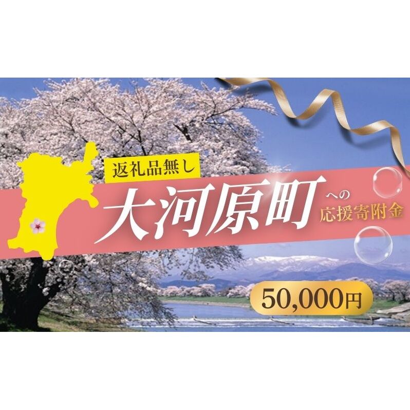 【ふるさと納税】【返礼品なし応援寄附】宮城県大河原町（50,000円）