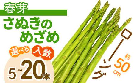 ＜先行予約！2027年2月下旬以降順次発送予定＞春芽！ロング！約50cm！ アスパラガス さぬきのめざめ(20本入) 香川県 国産 野菜 アスパラ 新鮮 冷蔵便 【man097-C】【Aglio nero】