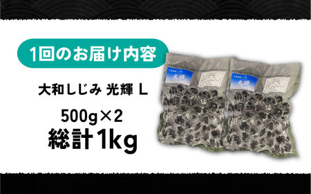 【全6回定期便】産地直送！宍道湖産 冷凍大和しじみLサイズ1kg(500g×2) 砂抜き処理済 島根県松江市/りすたむMatsue[ALDE023]