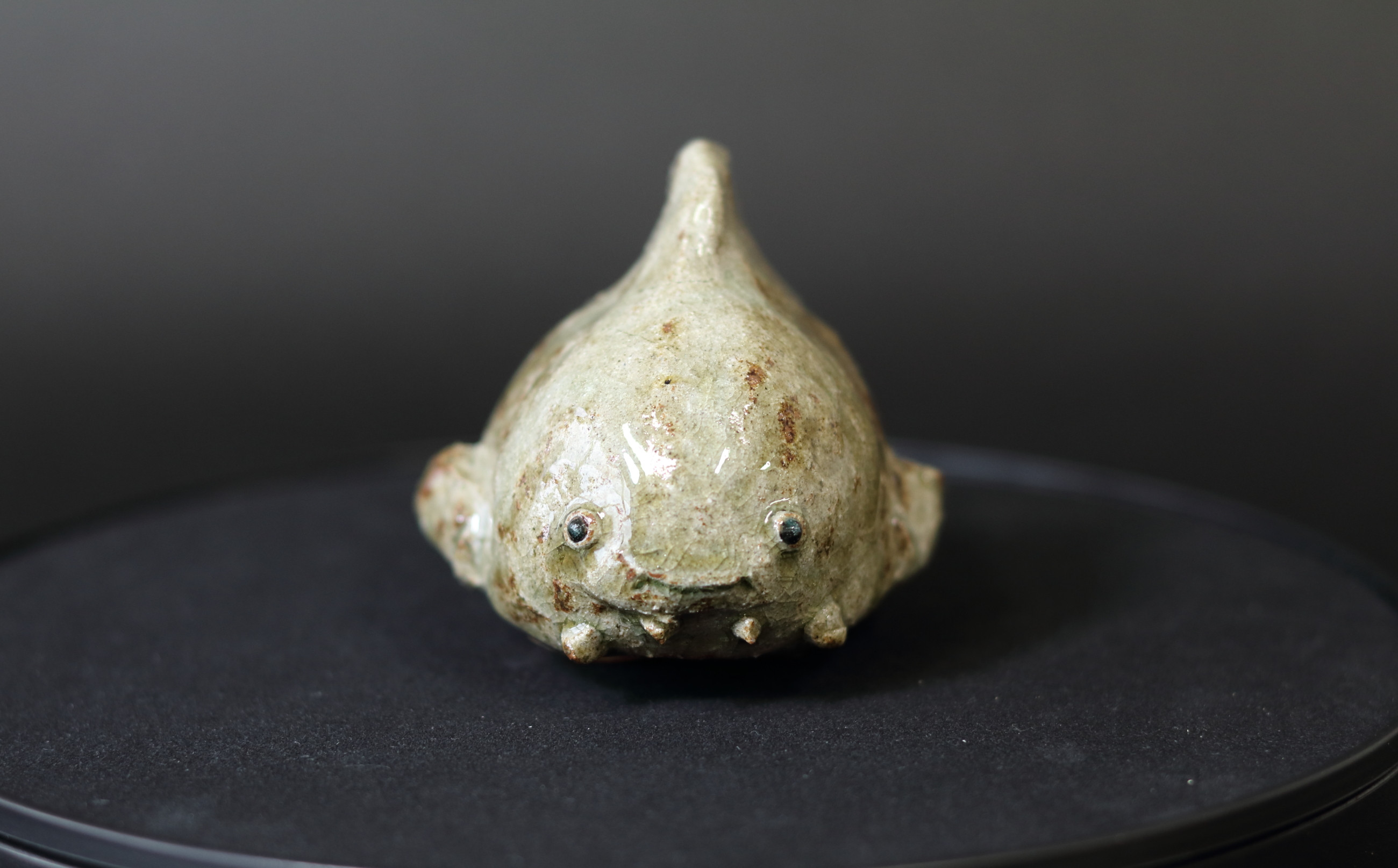 ダンゴウオ