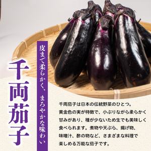 茄子 ナス 千両なす 約2kg なすび 千両茄子 茄子 なす 