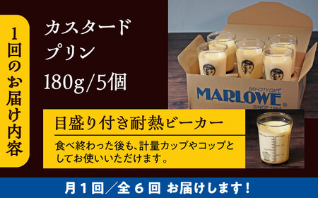【全6回定期便】昔ながらのカスタードプリン5個セット  ／ お菓子・スイーツ プリン【(有)マーロウ】[ASAY035]