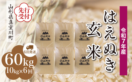 ＜令和7年産米＞ 令和8年3月下旬より発送 真室川町産 はえぬき【玄米】60kg定期便(10kg×6回)　◆RR7H6010M-G2603C