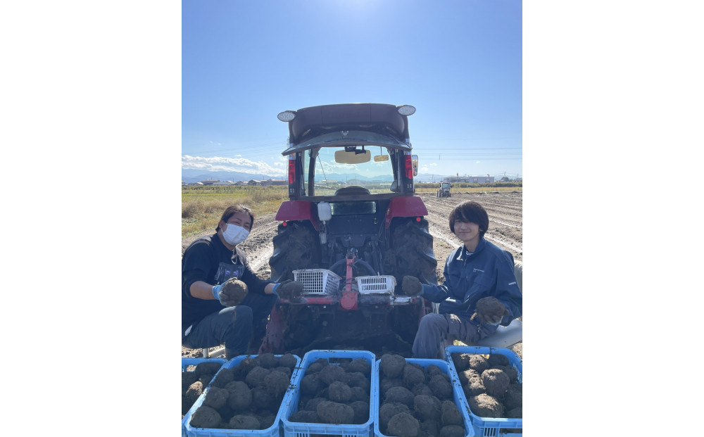 【先行予約】能美市特産品加賀丸いも 3kg