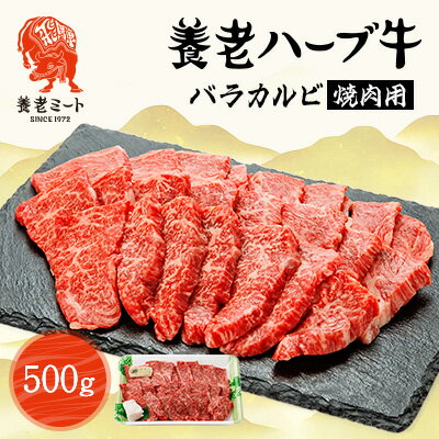 【ふるさと納税】養老ハーブ牛　バラカルビ　焼肉用　500g【配送不可地域：離島】【1273628】