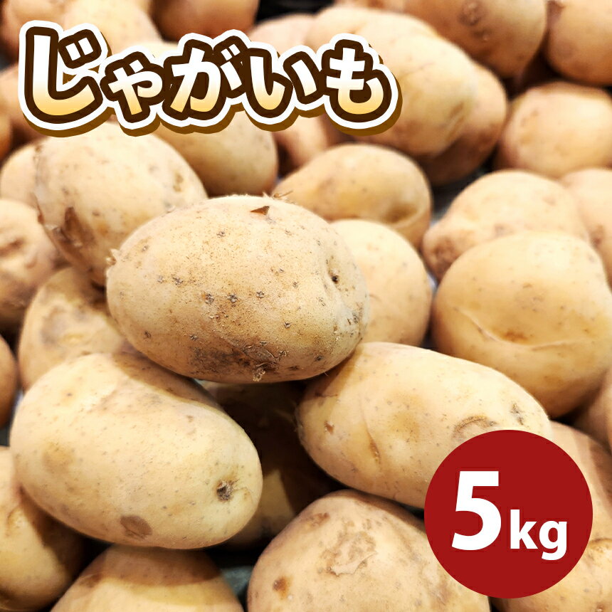 【ふるさと納税】じゃがいも （トヨシロ） 5kg 産地直送 生産者直送 玉名 熊本 送料無料
