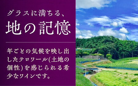 赤ワイン (山ぶどう) 約720ml 2本 BKAG015 ワイン
