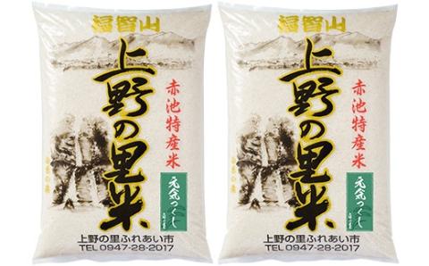 【令和6年新米】上野の里米 元気つくし10kg