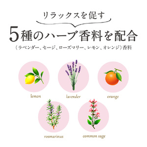 ライオン 休足時間 足すっきりシート 2枚入り 30個 セット