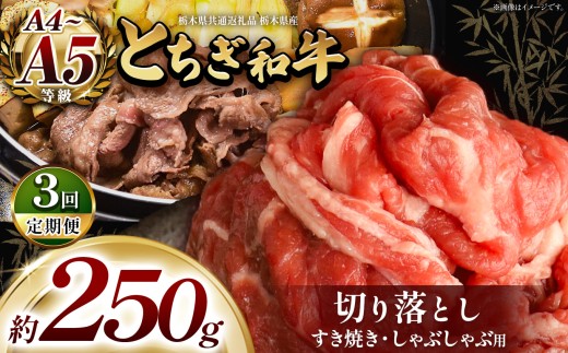 【訳あり】 とちぎ和牛 すき焼き・しゃぶしゃぶ用  切り落とし 250g 【定期便 ３回】 ❘ 和牛 とちぎ和牛 肉 250g お肉 おにく しゃぶしゃぶ 牛しゃぶ すき焼き すきやき スキヤキ ご褒美 プレゼント 贈答 おいしい 特別 人気 おすすめ 定期便３回 お取り寄せ  栃木県共通返礼品 国産 栃木県産 栃木県 真岡市