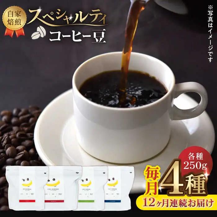 コーヒー[豆]12回定期 自家焙煎スペシャルティコーヒー豆(250g×4種)約80杯分ZCJ018