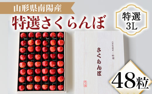 
            【令和7年産先行予約】 さくらんぼ 48粒 (特選 3L大玉 木箱入り) 《令和7年6月中旬～発送》 『最上園』 サクランボ ギフト 贈答 果物 フルーツ 産地直送 山形県 南陽市 [1333]
          