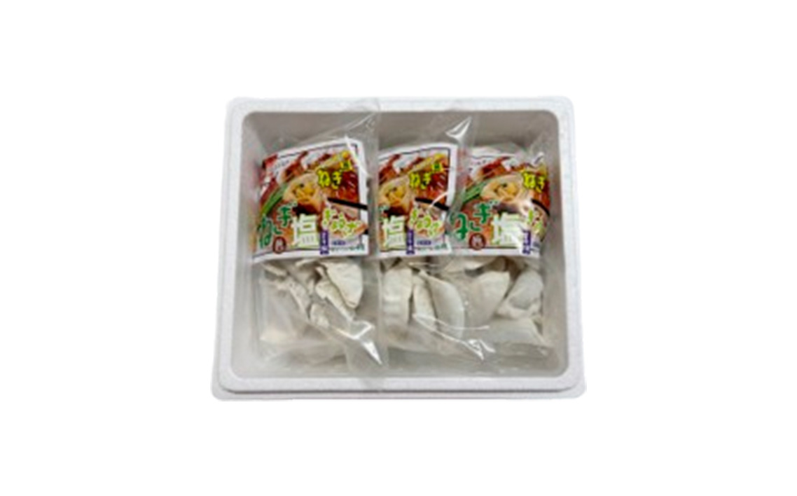 No.345 東金極楽ねぎ塩ぎょうざ5袋セット　20個入×5