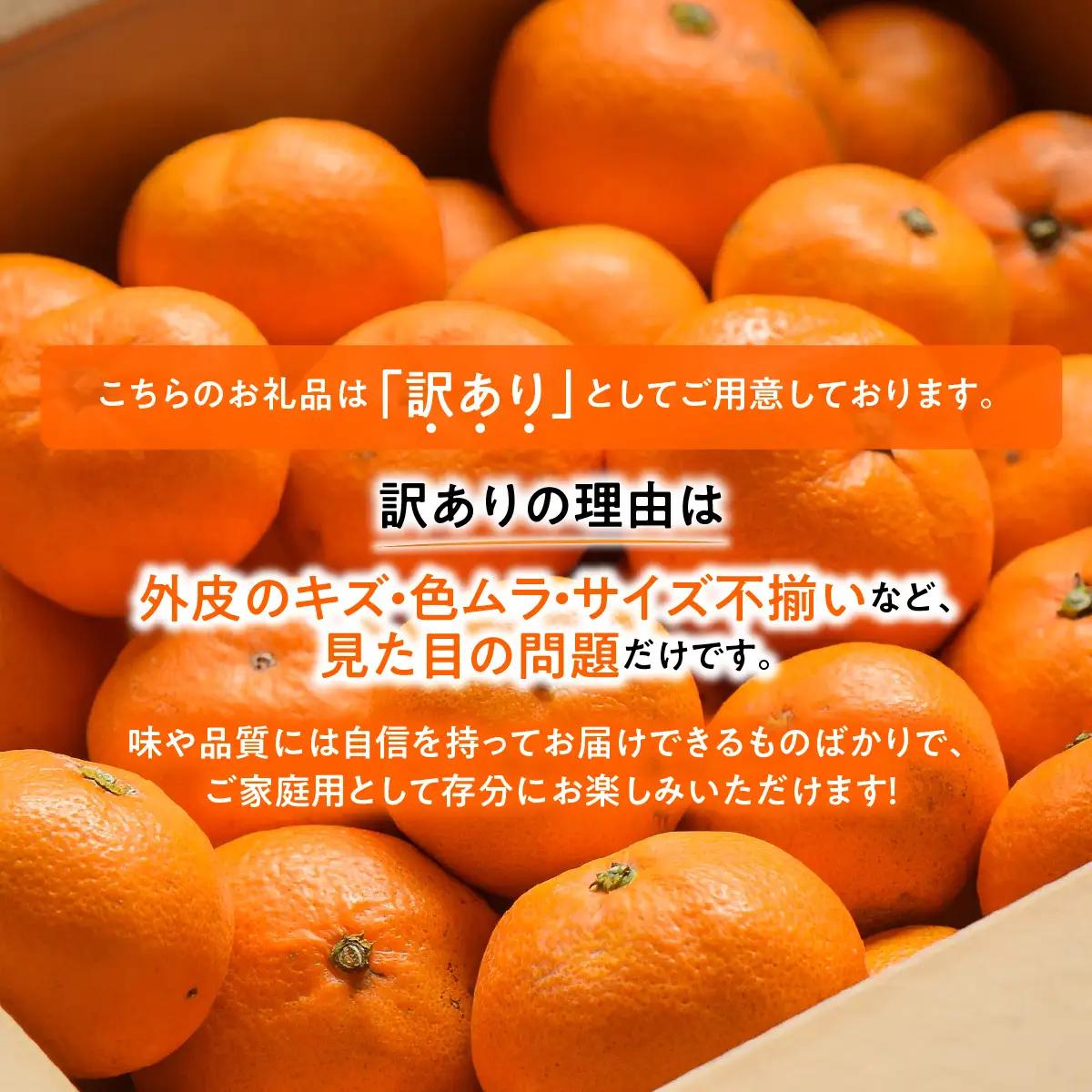 【先行受付】西宇和益田農園直送 愛媛みかん 3.3kg《訳あり》甘さと酸味の濃厚な味【103-1】　YWTBZ001