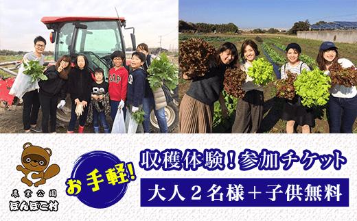 ＜農業公園ぽんぽこ村＞お手軽収穫体験！参加チケット（大人２名様＋子供無料） ふるさと納税 野菜 野菜セット 収穫体験 千葉県 木更津 送料無料 KAT004