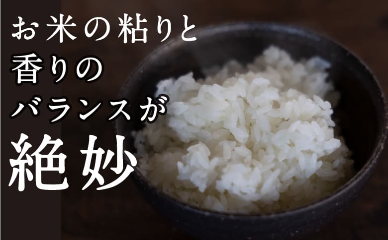 【特Aランク米】五庄屋の地で作ったお米 ひのひかり 白米 (4.5kg)【Go庄屋合同会社】ヒノヒカリ こめ コメ ごはん ご飯 福岡県うきは市産 九州産