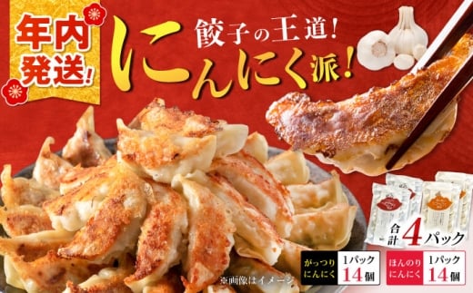 【12月25日(木)ご入金確認分まで年内発送】【王道！にんにく派×2パック】餃子2種セット！【餃子屋ヒロ】餃子 ヤキギョウザ 餃子 ギョーザ 餃子 ギョーザ 点心 中華 餃子 ギョーザ 餃子 やきぎょうざ ギョーザ 点心 中華 中華料理 ぎょうざ ぎょーざ ギョウザ こだわり餃子 やきぎょうざ 冷凍ぎょうざ ヤキギョウザ 簡単調理 冷凍ギョウザ ランキング 開成町 惣菜 [BDAS008-3]