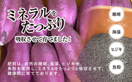 【先行予約】香取市産 さつまいも 紅はるか 約5kg 1本2～300g 焼き芋やスイートポテトにどうぞ KTRW001 / 芋 サツマイモ さつま芋 べにはるか ベニハルカ 焼き芋 焼芋 焼いも お芋