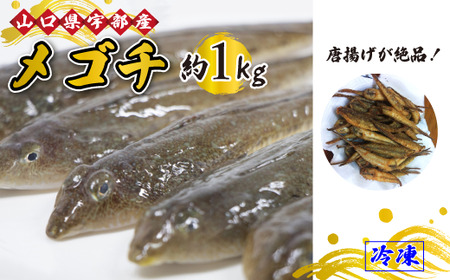 【着日指定必須】メゴチ ・ メコチ (1kg) 【魚 新鮮 鮮魚 さかな 魚類 ツマミ 唐揚げ 市場直送 山口県 宇部市 メゴチ めごち メコチ】AJ17-FN