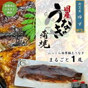 【ふるさと納税】老舗料理屋がお届けする「紀州備長炭で焼き上げた国産鰻蒲焼」長焼き1尾 | うなぎ 鰻 ウナギ 蒲焼 蒲焼き 長焼き 手焼き 関西風 国産 お取り寄せ 料亭の味