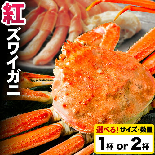 【ふるさと納税】蟹 蟹セレブ 紅ズワイガニ 選べる サイズ 数量 大 特大 1杯 2杯 giverichホールディングス《10月上旬-5月下旬頃出荷》鳥取県 八頭町 蟹 かに カニ 紅ズワイガニ 紅ズワイ 送料無料