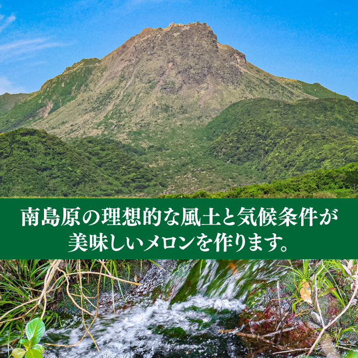 【2025年4月～発送】【いくらでも食べたくなるさっぱりとした甘さ！】南島原名産 パパイヤメロン 約5kg 4玉～7玉 / 南島原市 / 贅沢宝庫 [SDZ034]_イメージ4