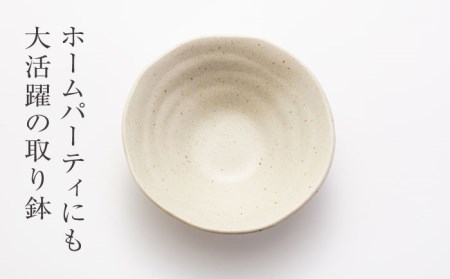 【美濃焼】石目 取皿 取鉢 10点 伊賀（白）【山銀深萱商店】食器 プレート ボウル ケーキ皿 副菜鉢 サラダボウル デザートボウル 家族 おもてなし パーティ 美濃焼 日本製 レンジ対応 食洗機対応