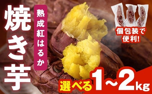 
            ＜先行予約受付中！2025年12月上旬から順次発送予定＞＜内容量が選べる！＞焼き芋 熟成紅はるか(1～2kg) 焼き芋 やきいも さつまいも サツマイモ 紅はるか 芋 おやつ 個包装【117300100・117300200】【やきいもかっちゃん】
          