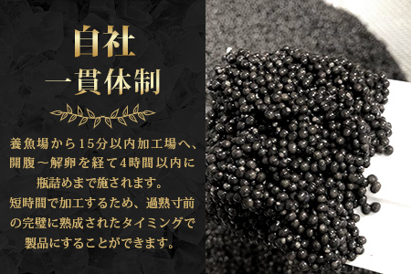 〈３回定期便〉【桐箱入り】 国産 キャビア 5g × 3回配送 計15g【世界三大珍味×日本三大秘境】 宮崎 椎葉 国産 チョウザメ キャビア 魚卵 定期便 魚介 珍味 贈答 希少 SZ-118_3t