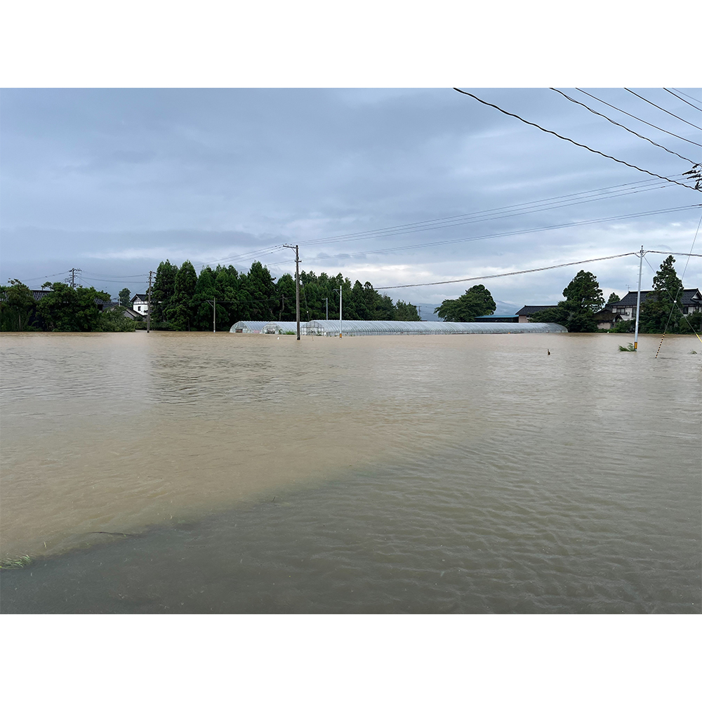 鶴岡市令和6年7月豪雨災害支援【返礼品なし、マイル対象外】