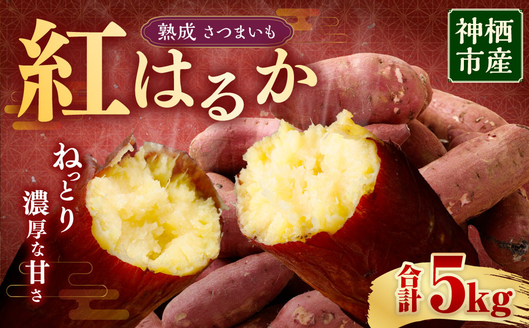 
            “熟成” 茨城県産 神栖市産 さつまいも 【 紅はるか 】 約5kg 芋 いも サツマイモ 野菜 やさい 国産 
          