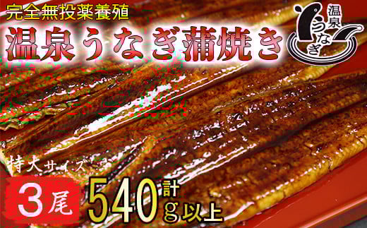 「源泉かけ流し軟水温泉」で育った自慢の鰻です