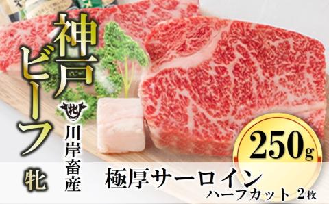 【川岸畜産・期間限定】神戸ビーフ 牝　極厚サーロインステーキ ハーフカット２枚 （約250g）　20-31